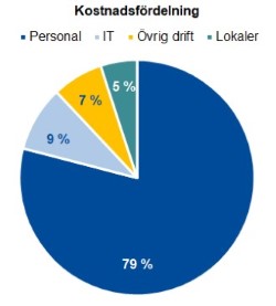 Cirkeldiagram som visar kostnadsfördelning under 2020